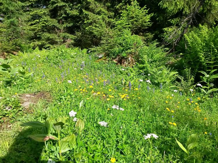 20160625_083851_richtone_hdr_.jpg