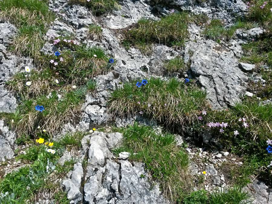 20160625_100448_richtone_hdr_.jpg