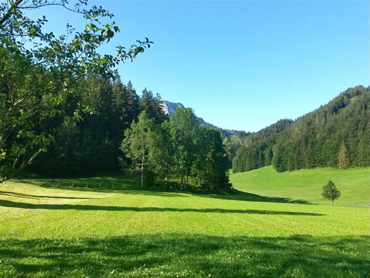 20160723_082718_richtone_hdr_.jpg