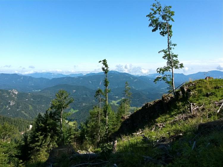 20160723_093657_richtone_hdr_.jpg