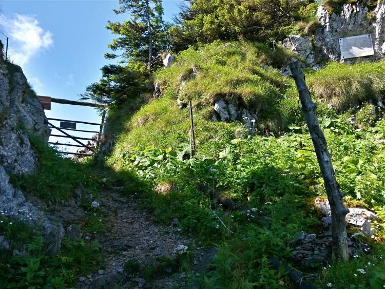 20160723_100454_richtone_hdr_.jpg