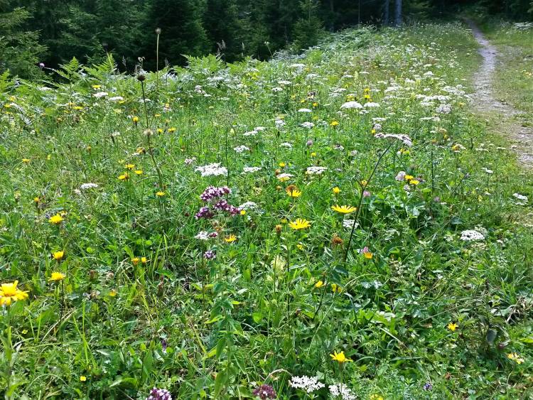 20160723_122018_richtone_hdr_.jpg