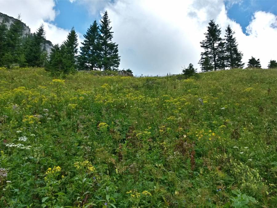 20160807_094843_richtone_hdr_.jpg