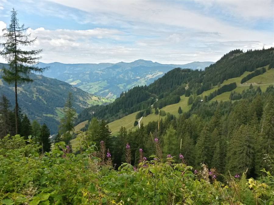 20160904_133419_richtone_hdr_.jpg