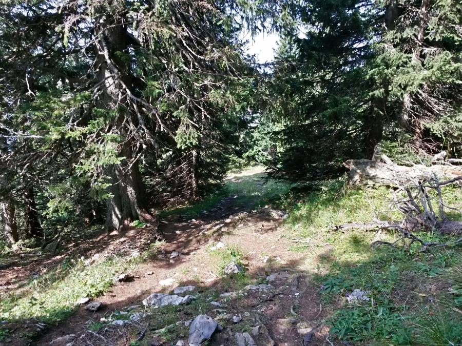 20160911_121432_richtone_hdr_.jpg 20160911_121432_richtone_hdr_.jpg