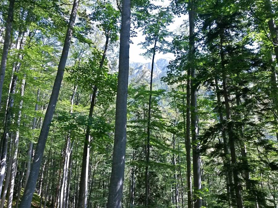 20160911_125039_richtone_hdr_.jpg 20160911_125039_richtone_hdr_.jpg