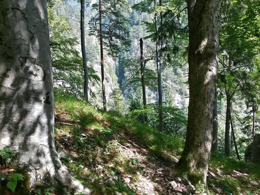 20160911_131824_richtone_hdr_.jpg 20160911_131824_richtone_hdr_.jpg