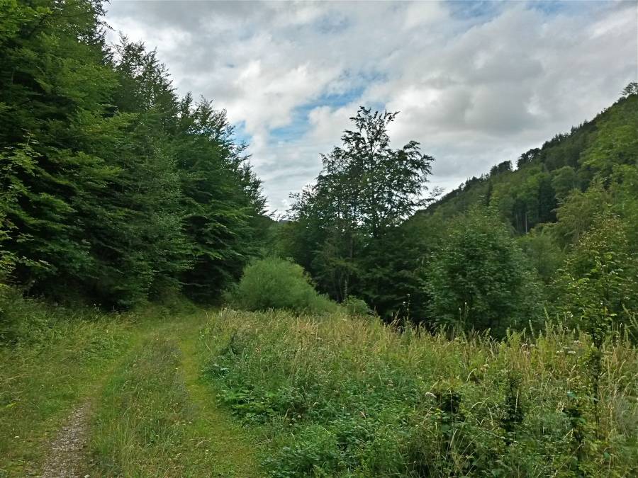20160918_150725_richtone_hdr_.jpg 20160918_150725_richtone_hdr_.jpg