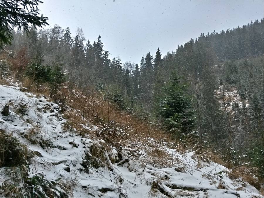 20161128_110355_richtone_hdr_.jpg 20161128_110355_richtone_hdr_.jpg
