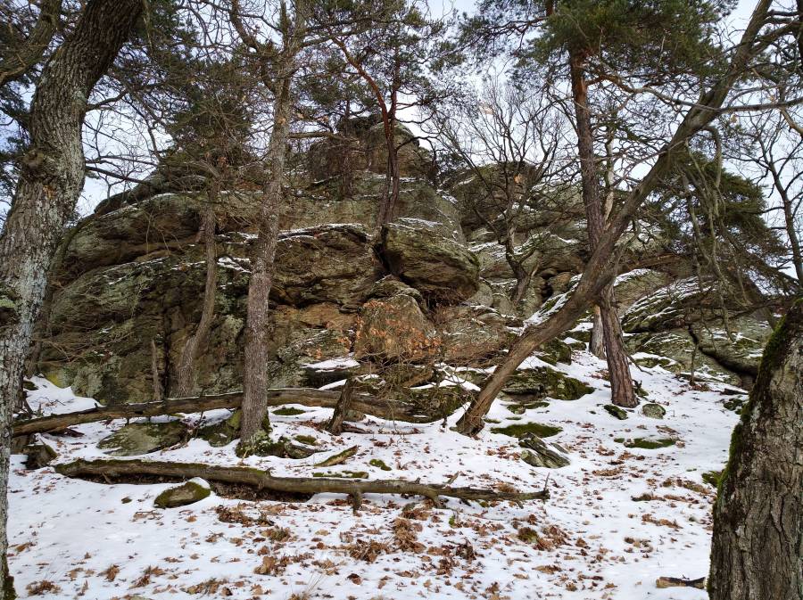 img_20170204_104031.jpg
