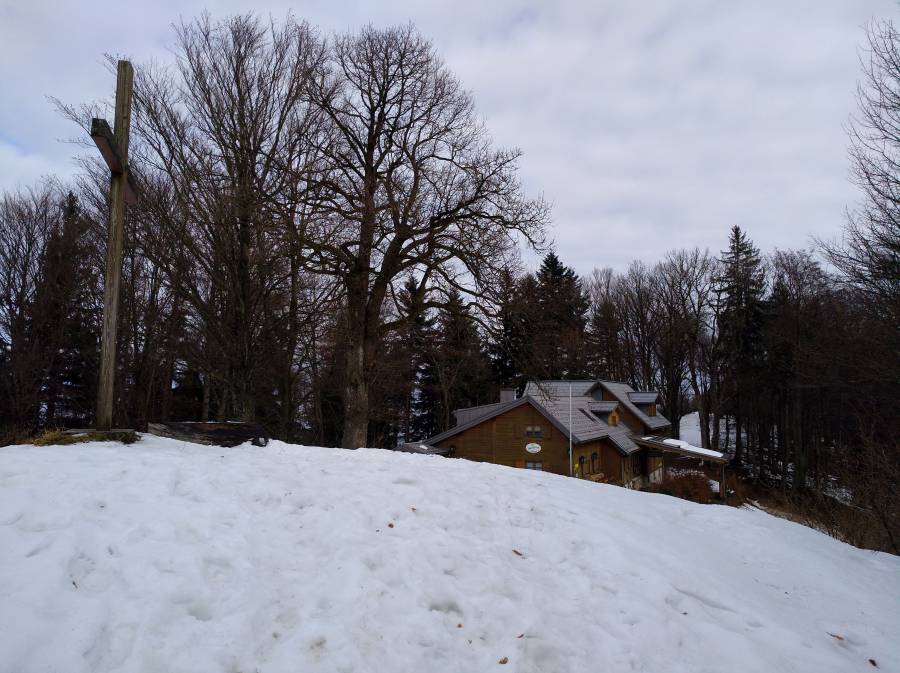 img_20170219_105353.jpg