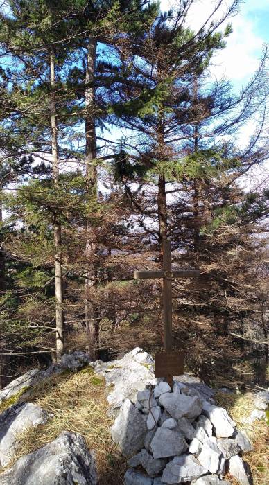 img_20170311_111620.jpg img_20170311_111620.jpg