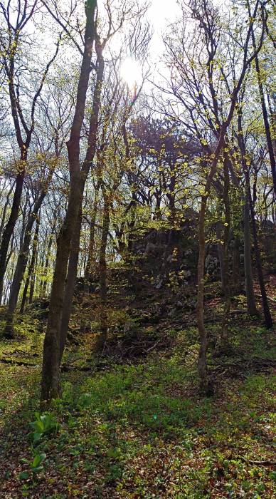 img_20170429_100200.jpg img_20170429_100200.jpg