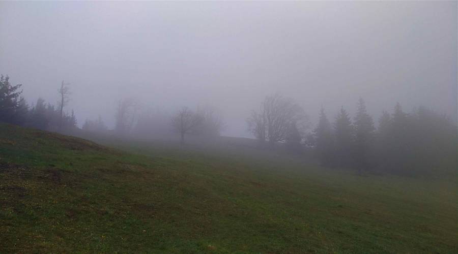 img_20170513_113242.jpg