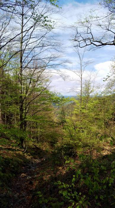 img_20170513_124734.jpg