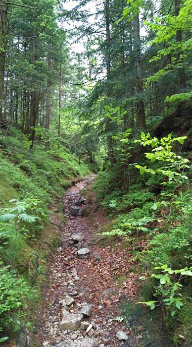 img_20170525_104845.jpg