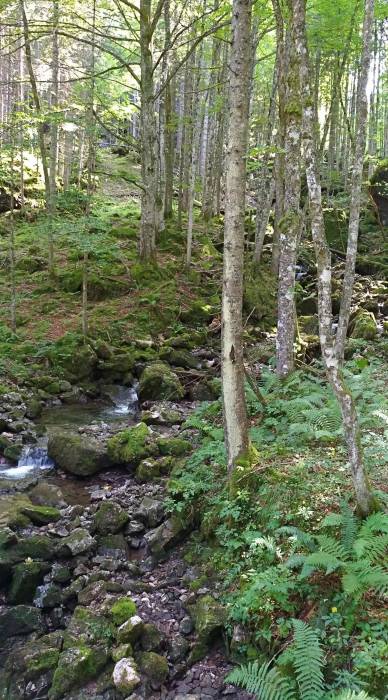 img_20170909_142852.jpg