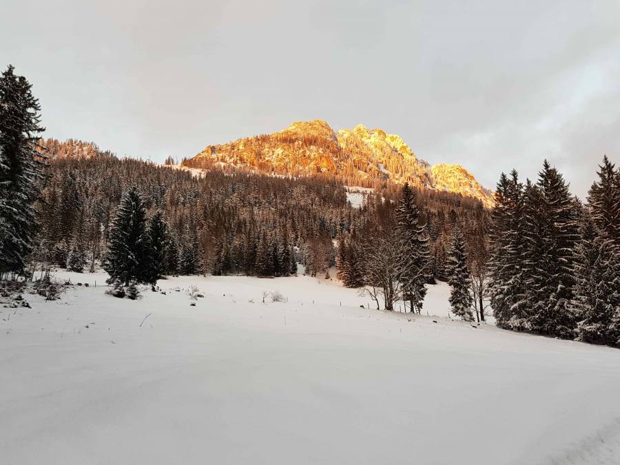 20171127_160714.jpg