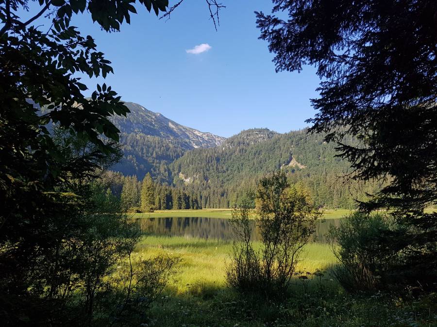 20180804_084915.jpg