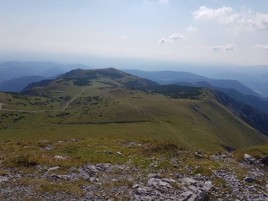20180818_100127.jpg