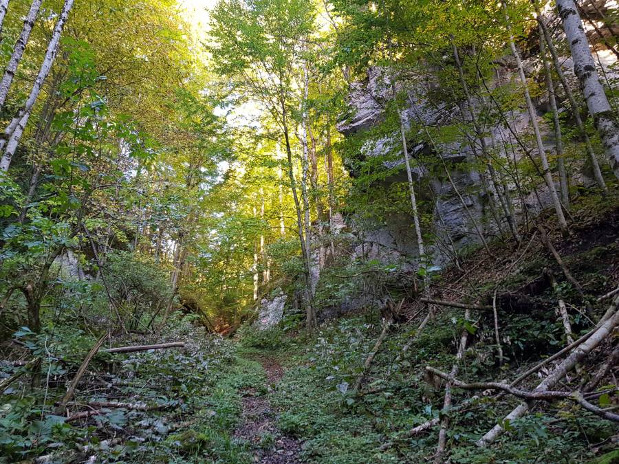 20181006_090657.jpg