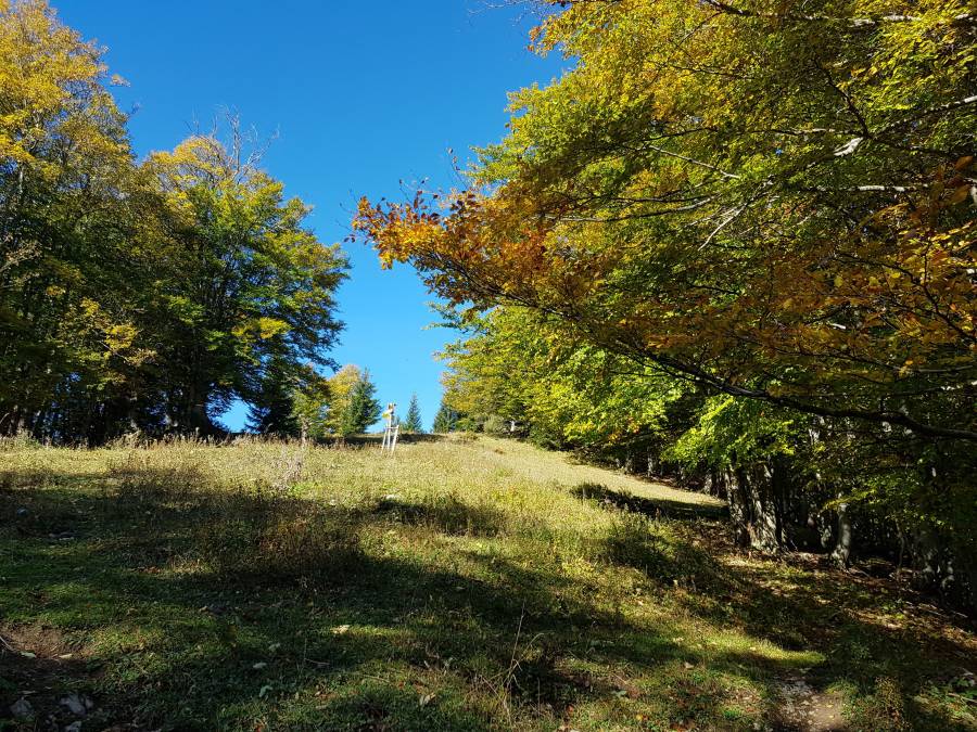20181006_102455.jpg