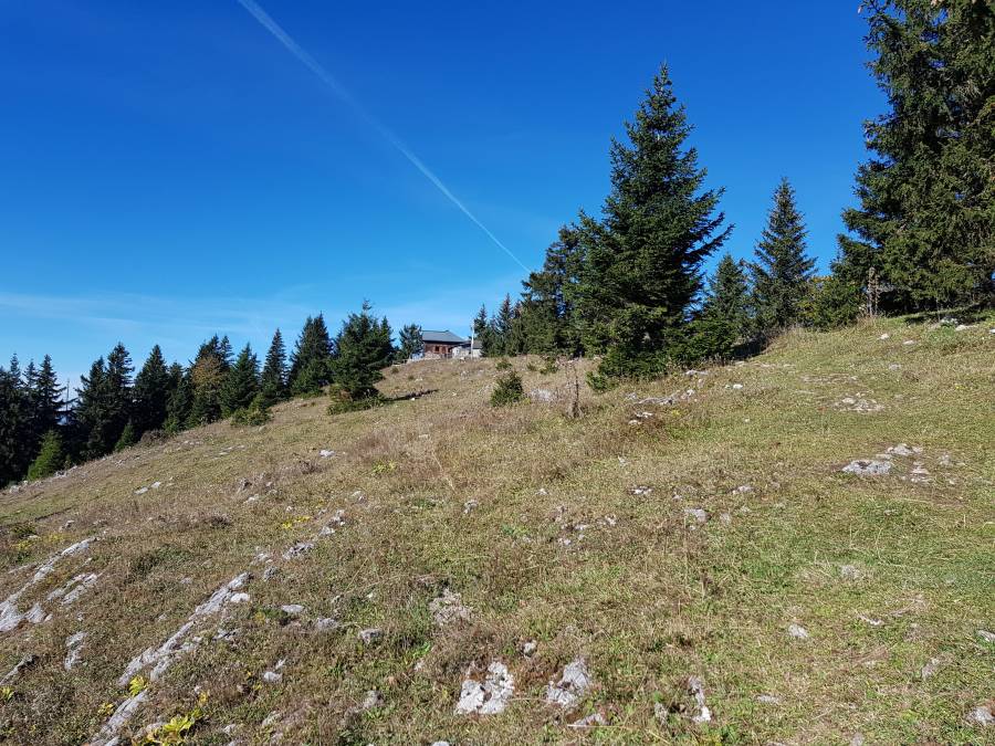 20181006_103538.jpg