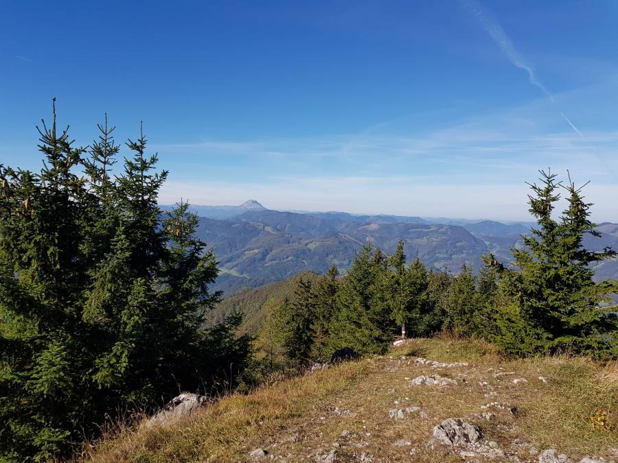 20181006_103946.jpg