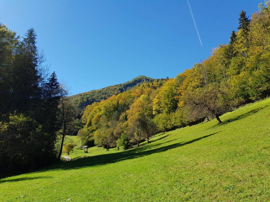 20181006_124041.jpg