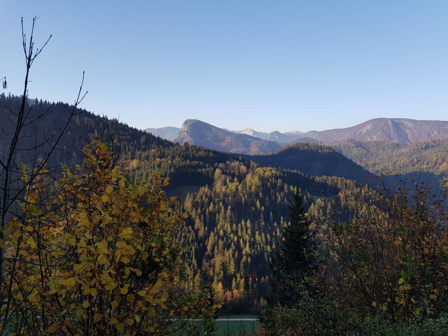 20181013_082911.jpg