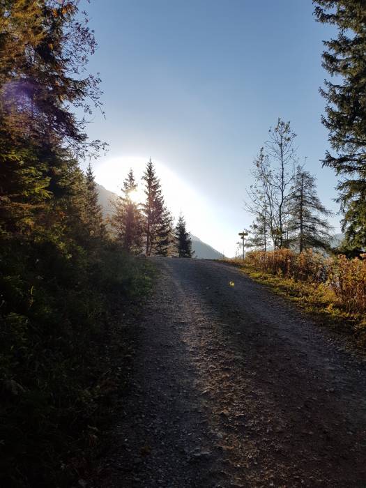 20181013_084203.jpg