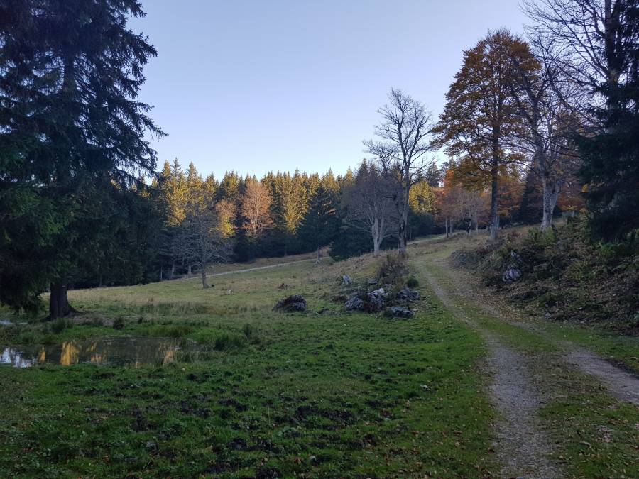 20181013_091241.jpg