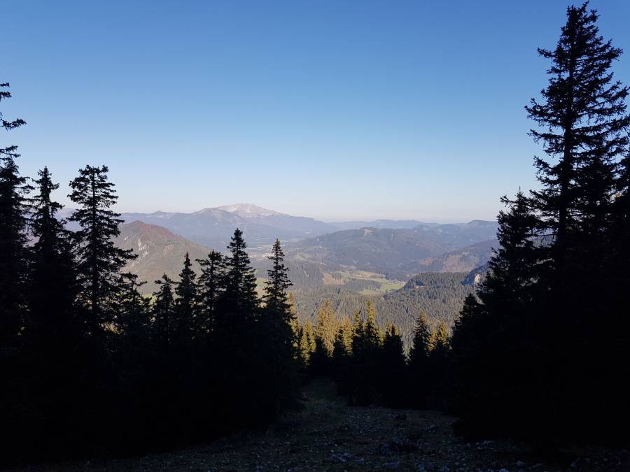 20181013_094702.jpg