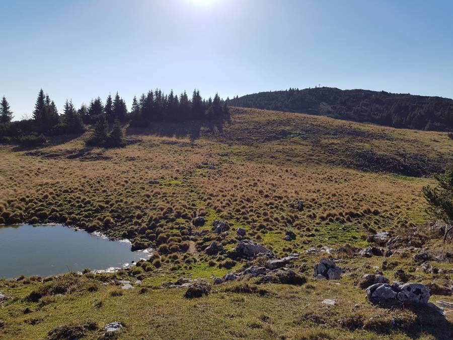 20181013_100755.jpg