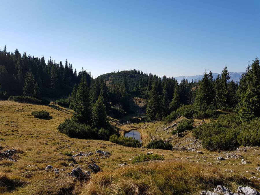 20181013_105411.jpg