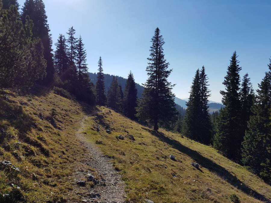 20181013_110813.jpg