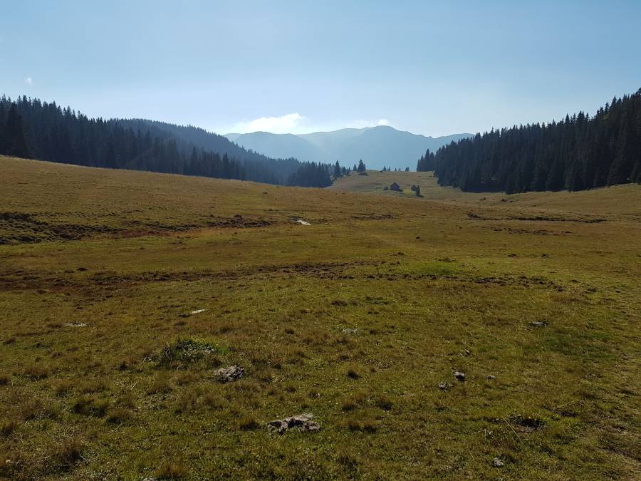 20181013_113609.jpg