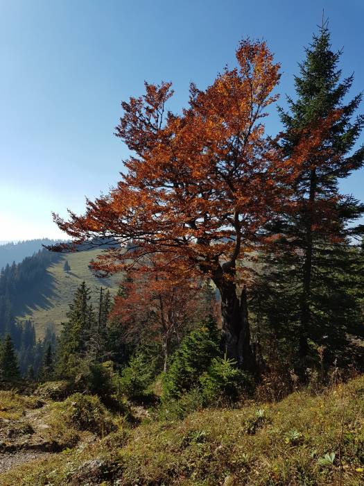 20181013_123352.jpg