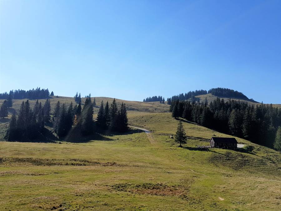 20181013_124139.jpg