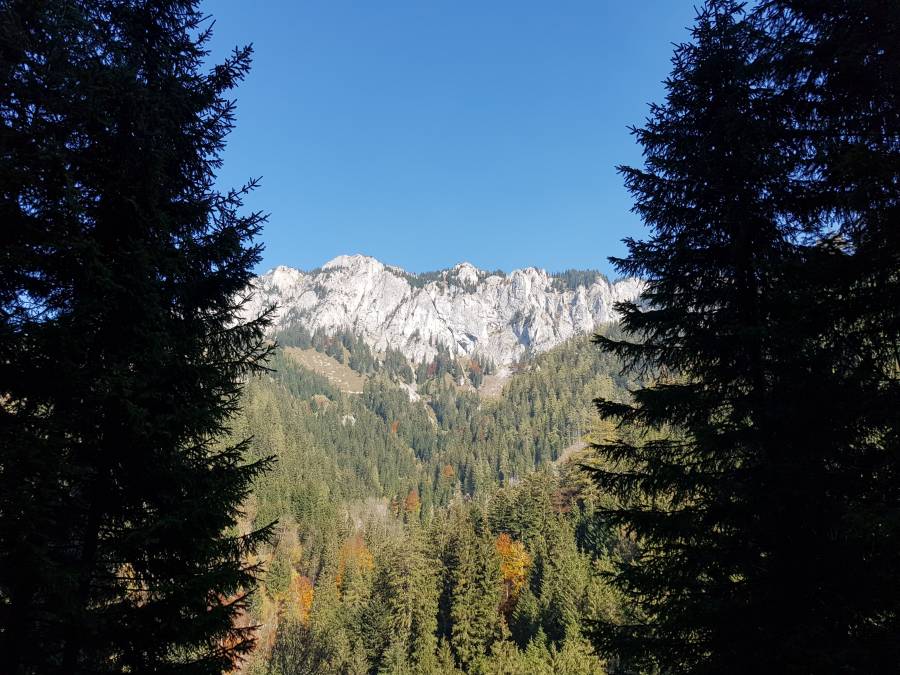 20181013_134804.jpg
