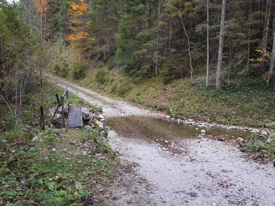 20181013_141346.jpg
