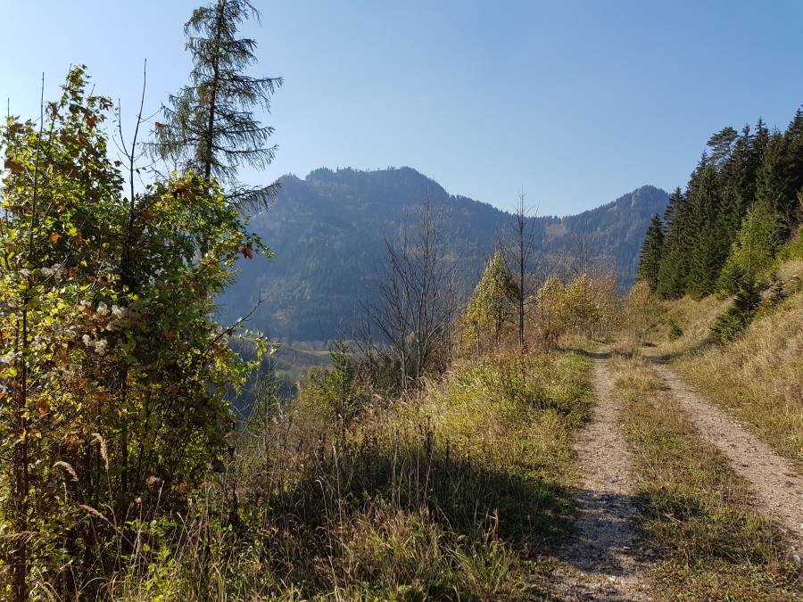 20181013_142538.jpg