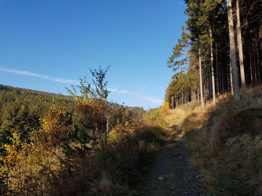 20181020_085715.jpg