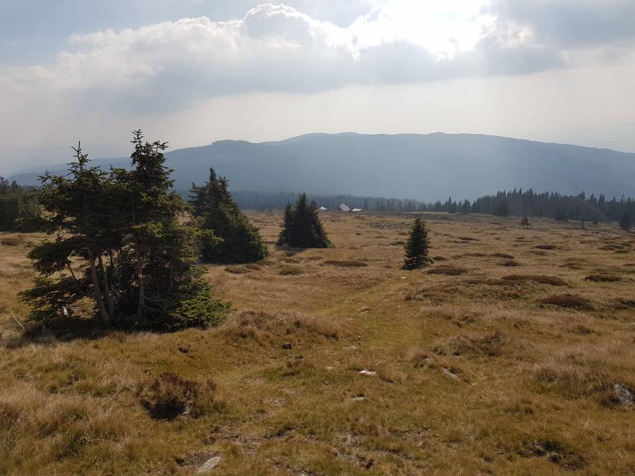 20181020_114927.jpg