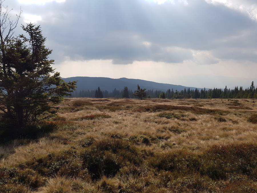 20181020_120646.jpg
