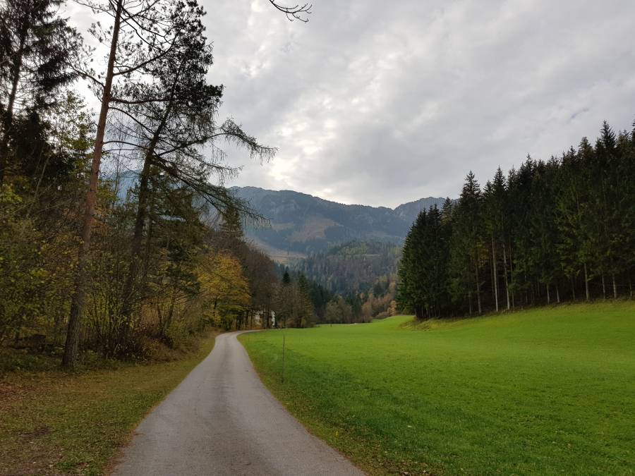 20181026_095102.jpg