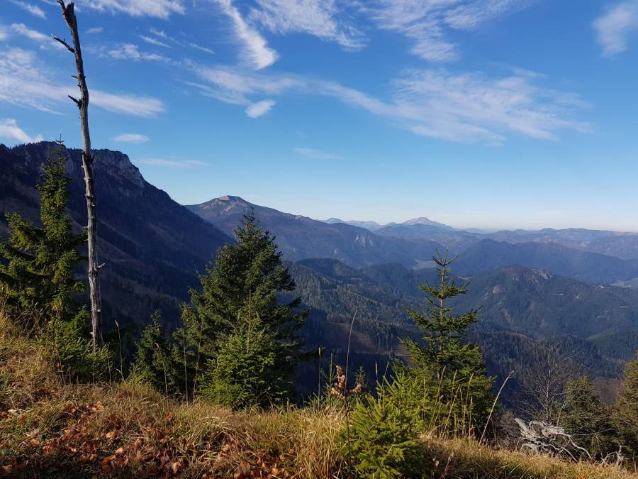 20181026_112242.jpg
