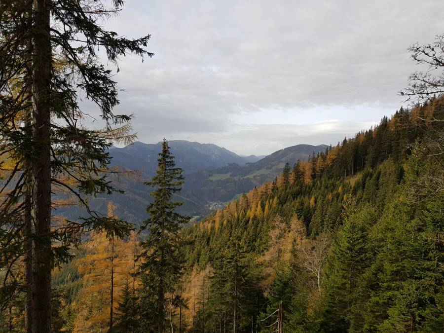 20181101_101655.jpg