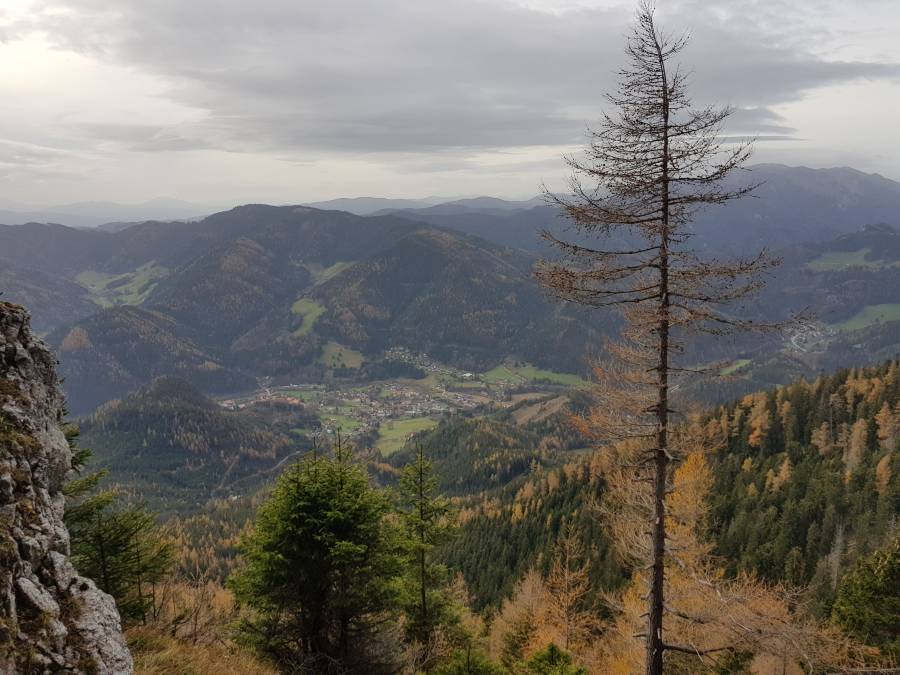 20181101_104522.jpg