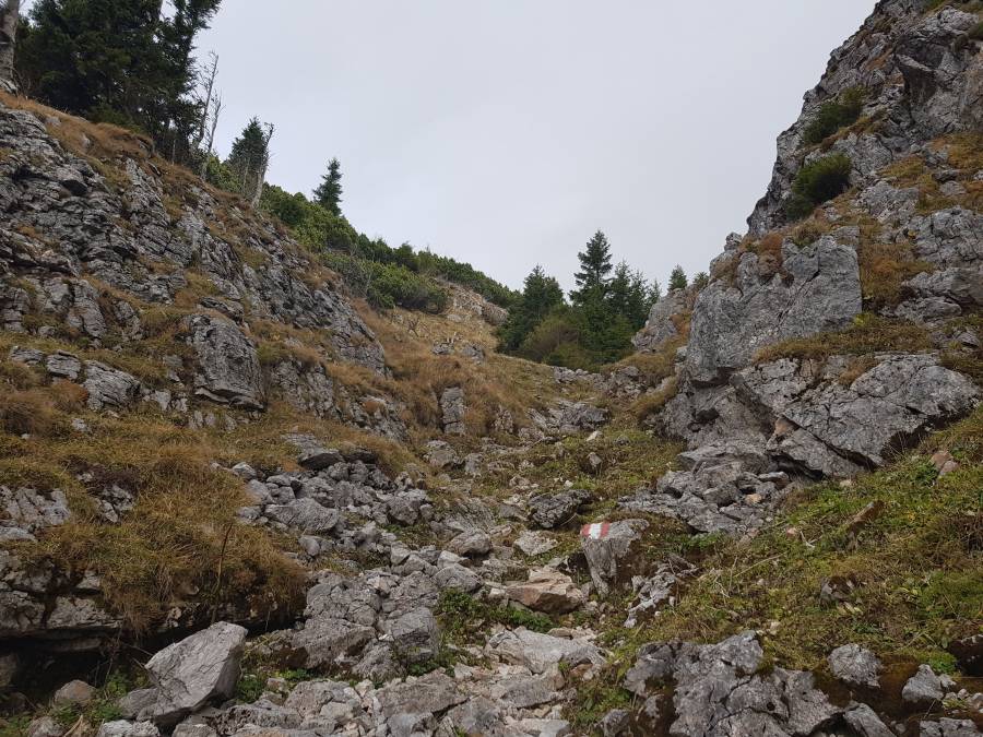 20181101_110435.jpg